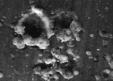 AEGIS Bearing Protection Ring